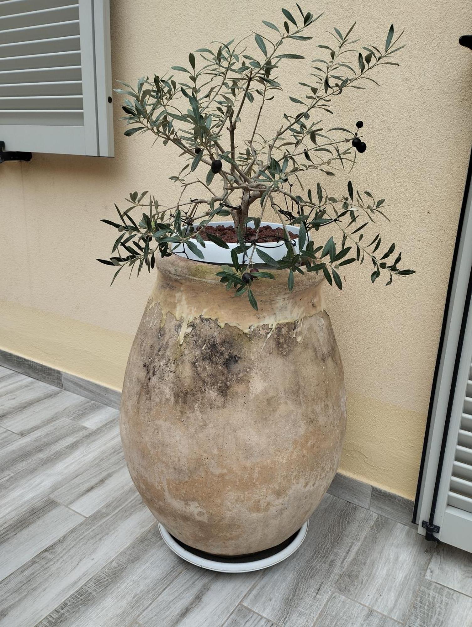 Appartamento Pama Mar Imperia Esterno foto